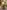 277108509 518421496520800 7042930029649193980 n | Ceylebrity | Everything And Anything In One Place...