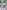 240603125 406167241079560 8693641157771642984 n | Ceylebrity | Everything And Anything In One Place...