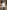 241434484 397173488645602 3571568690684105440 n | Ceylebrity | Everything And Anything In One Place...