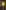 275386946 509166247446325 2691914712316963833 n 2 | Ceylebrity | Everything And Anything In One Place...