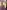 275443434 509166314112985 8062972342508891219 n 1 | Ceylebrity | Everything And Anything In One Place...