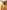276218656 518421509854132 776774981177599519 n 1 1 | Ceylebrity | Everything And Anything In One Place...