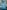 307679768 398979105711933 7339960638773059043 n | Ceylebrity | Everything And Anything In One Place...